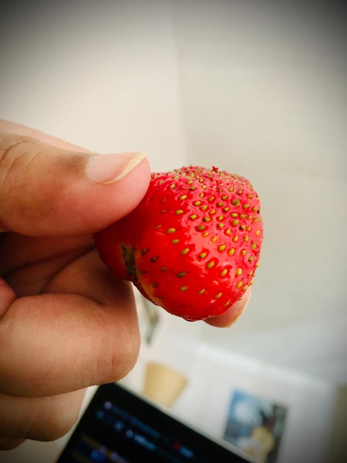 A hand holding a ripe strawberry up close